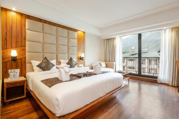 pexels-svh-manali-1801124329-28347470